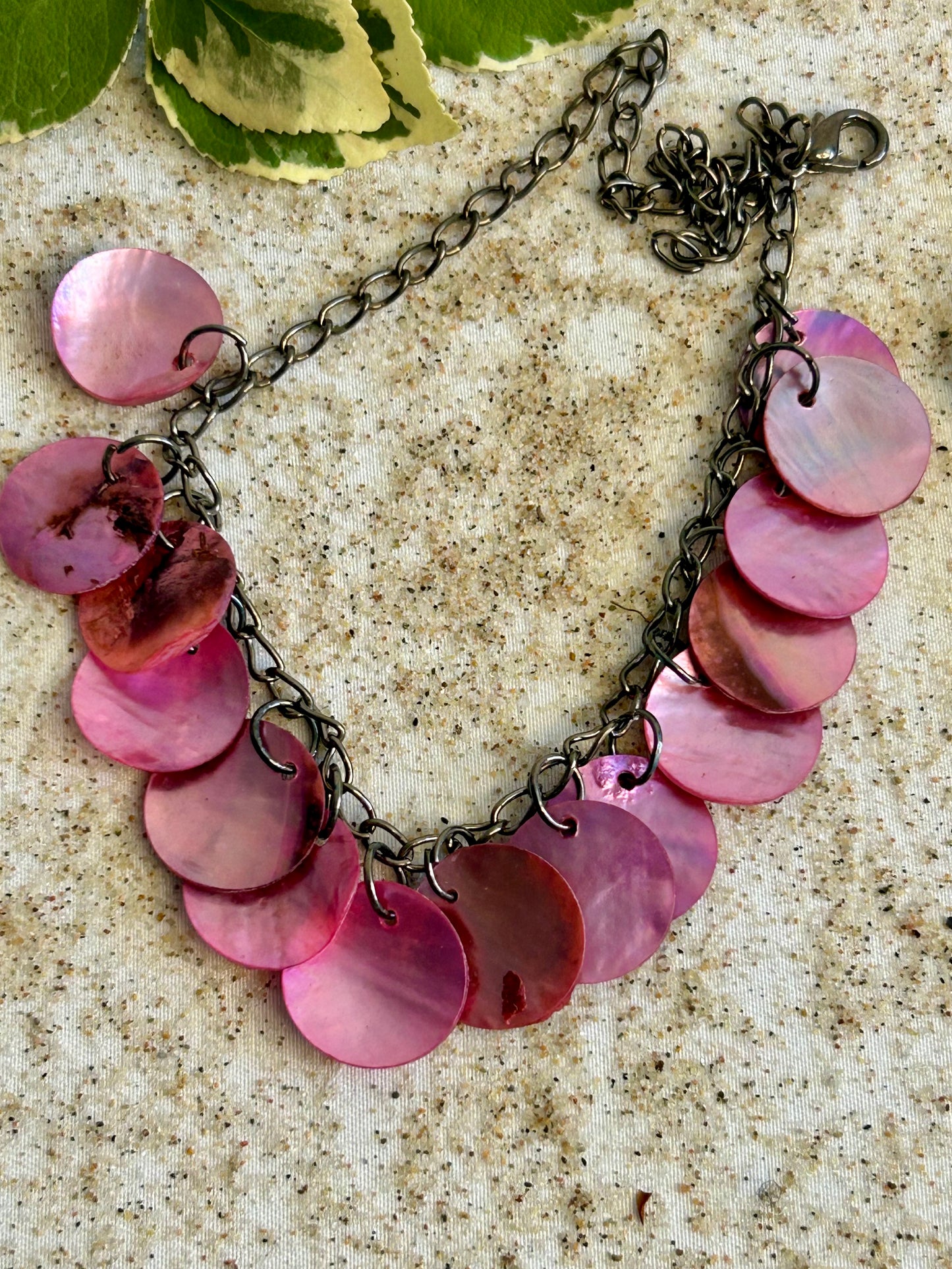Snäckan Cerise