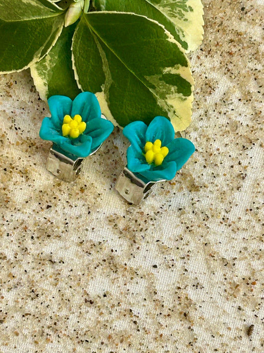Beata Clips